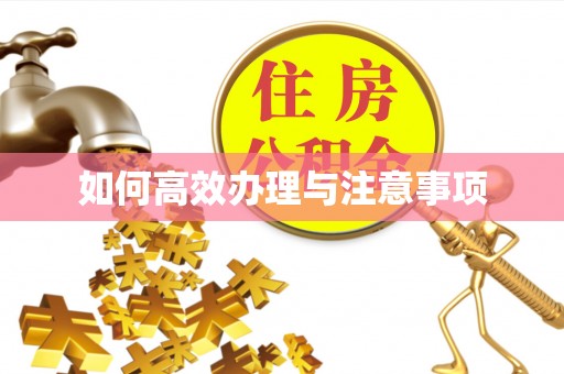 蓬莱如何高效办理与注意事项