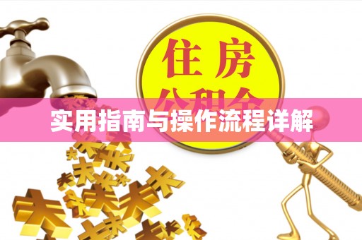 蓬莱实用指南与操作流程详解