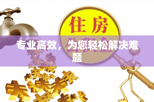 蓬莱专业高效，为您轻松解决难题