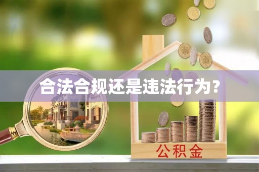 蓬莱合法合规还是违法行为？
